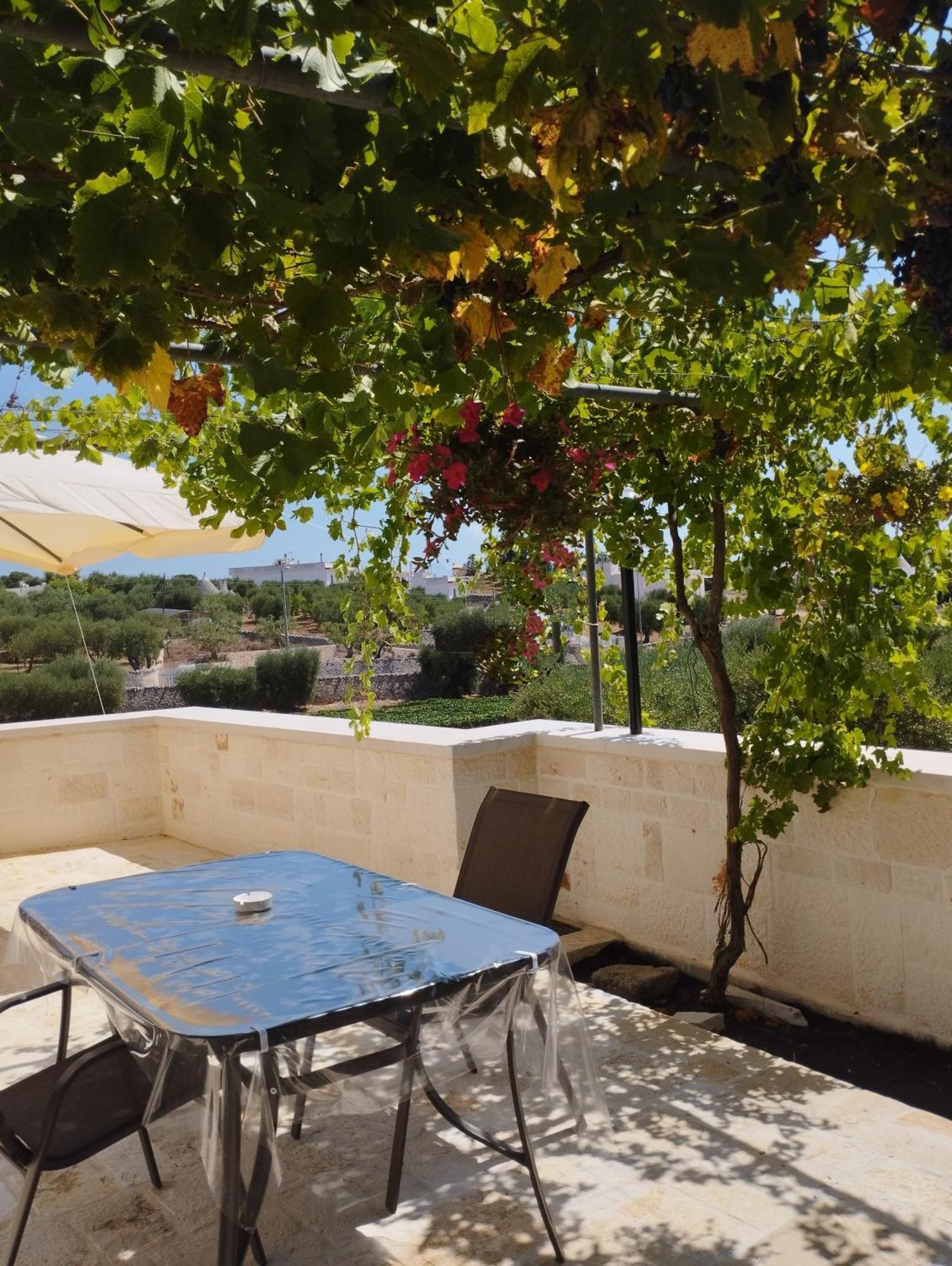 Trulli La Quercia Del Nonno Villa Locorotondo Dış mekan fotoğraf